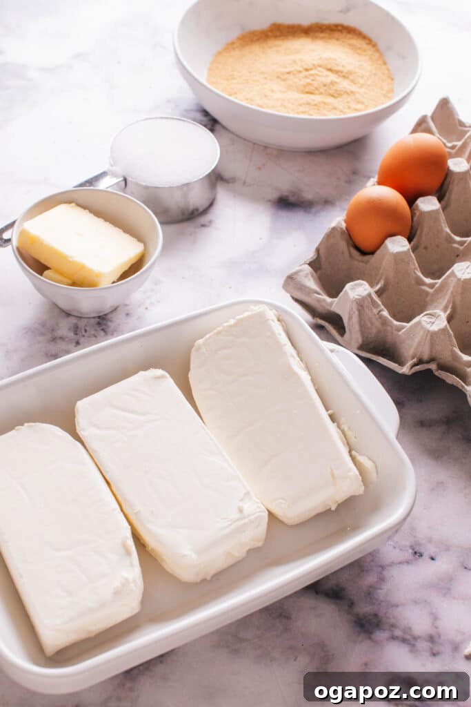 Philadelphia Cheesecake Classic Perfection Pro Insights 3 A visual display of all the essential ingredients needed to bake a classic Philadelphia cheesecake.