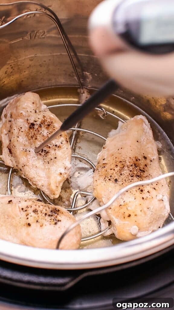 Transform Frozen Chicken into a Juicy Instant Pot Meal 7 Checking temperature of chicken.