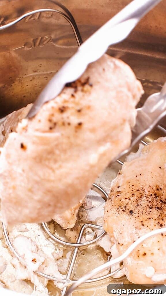 Transform Frozen Chicken into a Juicy Instant Pot Meal 8 Picking up chicken breast with tongs.