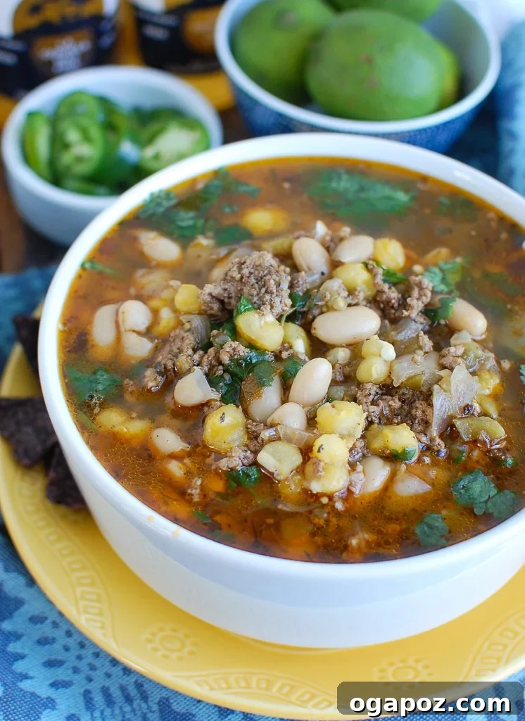 Fall-Apart Tender Instant Pot Pork Chili Verde 2 Instant Pot Pork Chili Verde in White Bowl