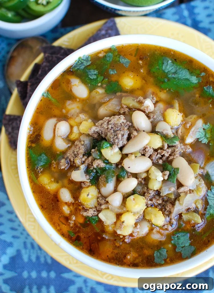 Fall-Apart Tender Instant Pot Pork Chili Verde 3 Instant Pot Pork Chili Verde on Yellow Plate
