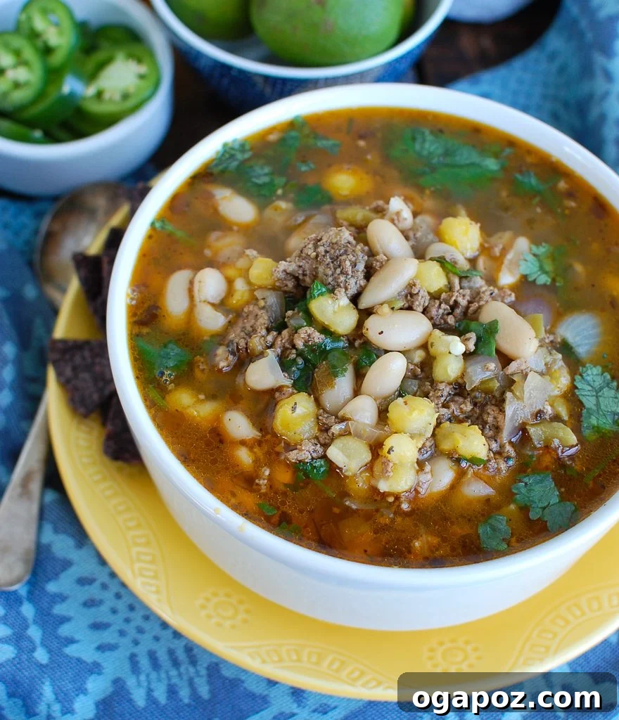 Fall-Apart Tender Instant Pot Pork Chili Verde 4 Instant Pot Pork Chili Verde on a plate