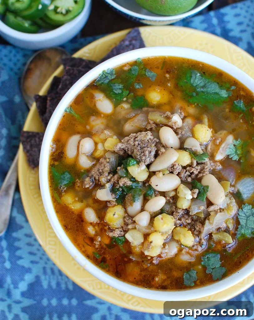 Fall-Apart Tender Instant Pot Pork Chili Verde 5 Instant Pot Pork Chili Verde in a white bowl