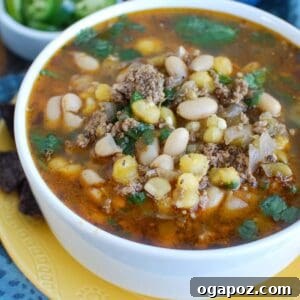Instant Pot Pork Chili Verde 1200 x 1200