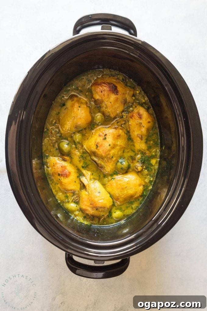 Rich Slow Cooker Chicken Tagine with tender chicken, dried apricots, olives, and aromatic spices, served in a traditional style.