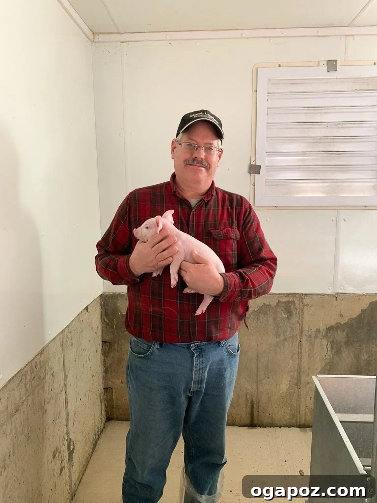 Homemade Barbecue Sauce: An Ohio Hog Farm Adventure 4 Farm worker in protective gear inside a barn