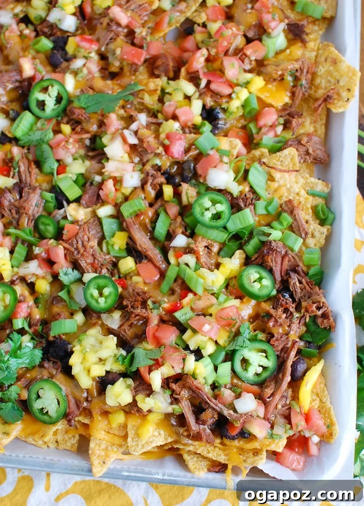 Ultimate Beef Nacho Platter 6 A vibrant platter of loaded Beef Nachos, adorned with fresh salsa, cilantro, green onions, and jalapeños, showcasing a colorful and delicious array of toppings.