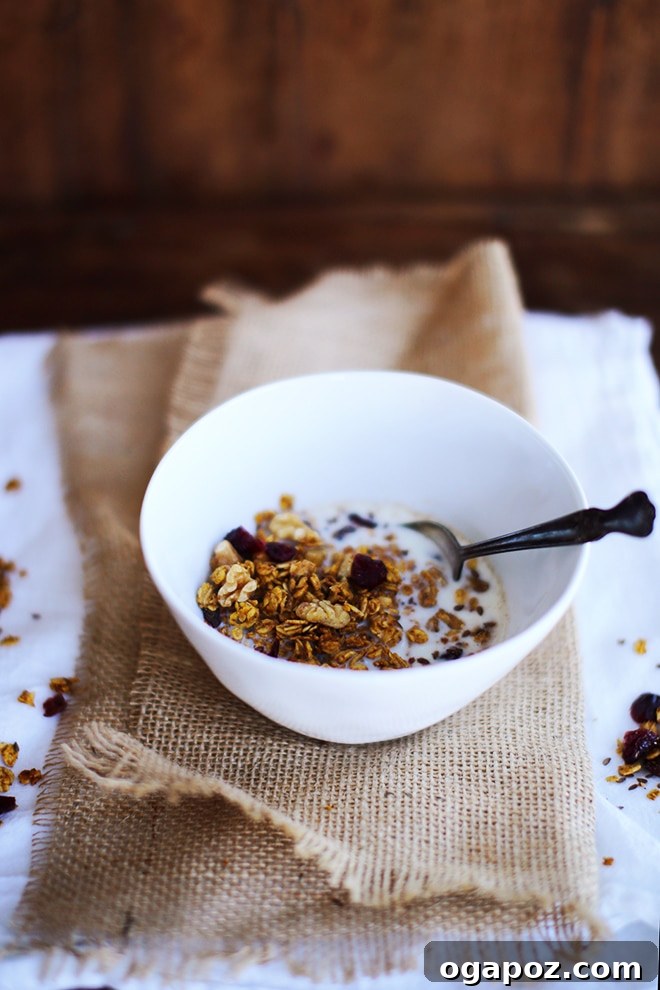 Spiced Autumn Pumpkin Granola 3 A collection of ingredients for homemade pumpkin granola laid out on a surface.