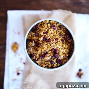 Spiced Autumn Pumpkin Granola 5 Delicious pumpkin granola ready to be served.