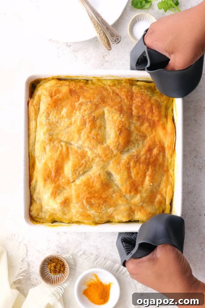 The beautifully baked Samosa Pie, with a perfectly golden brown and crispy crust, ready to be sliced and served