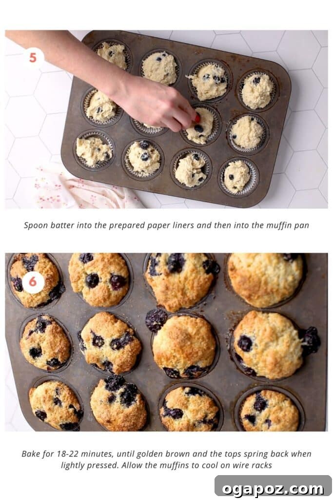 Blueberry Lemon Sour Cream Muffins 6 A muffin pan filled with paper liners, each containing a spoonful of lemon blueberry sour cream muffin batter, ready for baking. The batter is evenly distributed, promising perfectly risen muffins.