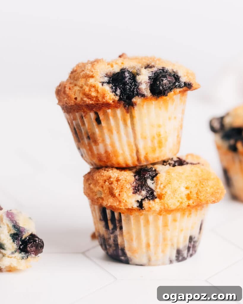 Blueberry Lemon Sour Cream Muffins 7 A charming stack of two freshly baked Lemon Blueberry Sour Cream Muffins, showcasing their golden-brown tops and tender texture, ready to be enjoyed.