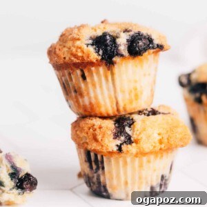 Two freshly baked Lemon Blueberry Sour Cream Muffins, stacked, showcasing their golden tops and appealing texture.