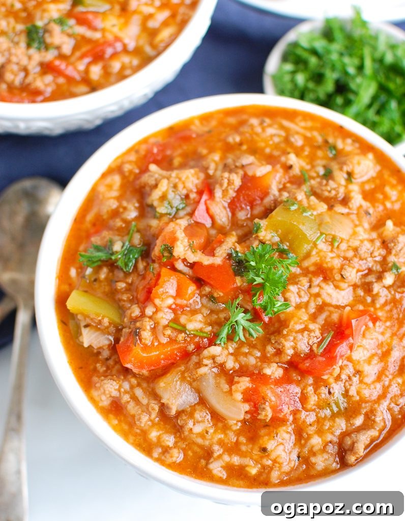 Hearty Instant Pot Stuffed Pepper Soup 4 Close-up aerial view of Instant Pot Stuffed Pepper Soup in a bowl, showing texture and ingredients.