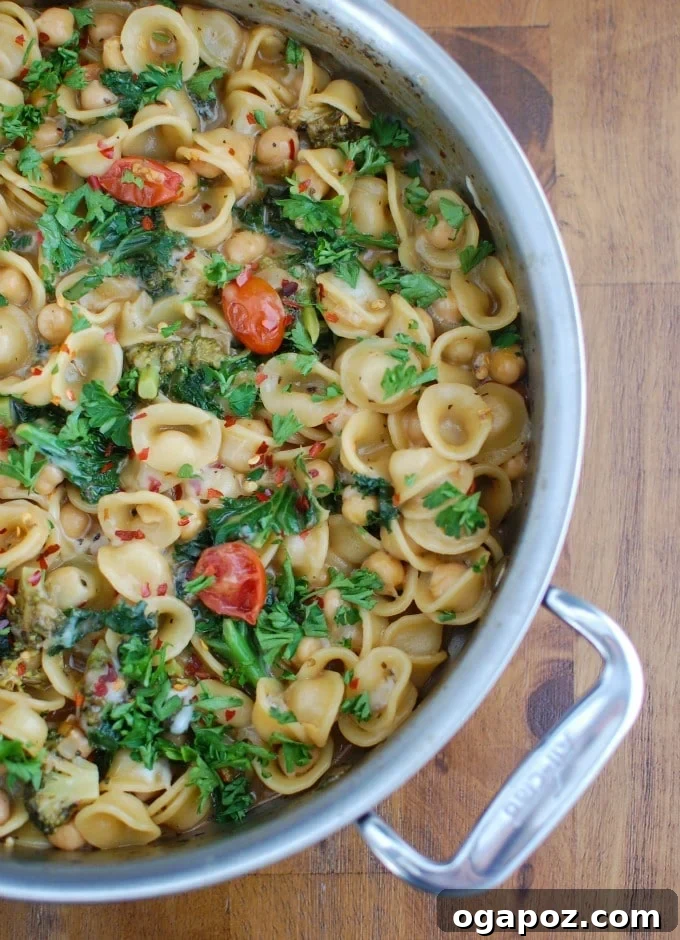 One Pot Kale Broccoli Chickpea Orecchiette Pasta