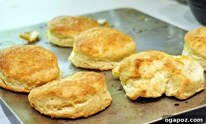 A close-up shot of freshly baked, golden-brown flaky biscuits, cooling on a wire rack, ready to be transformed into strawberry shortcake.