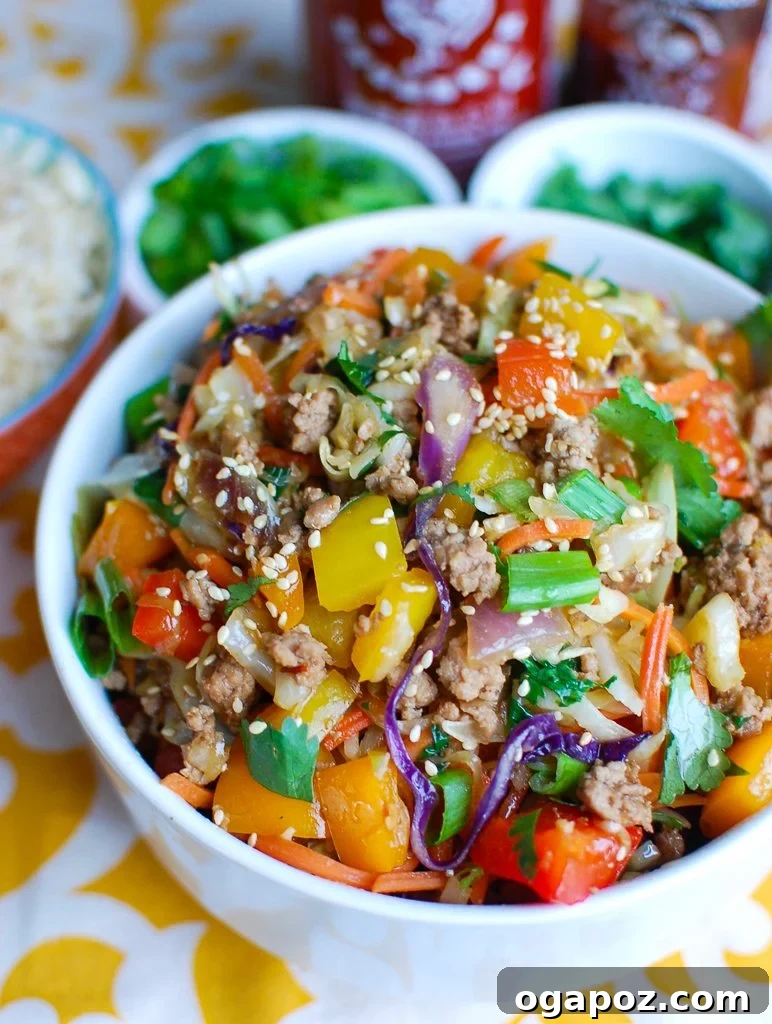 Egg Roll in a Bowl with garnishes, close-up
