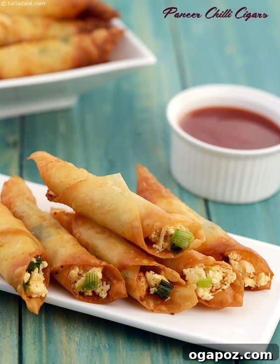 Paneer Perfection: 52+ Recipes for Every Palate 35 Crispy and spicy Paneer Chilli Cigars, a perfect little snack that everyone will love.