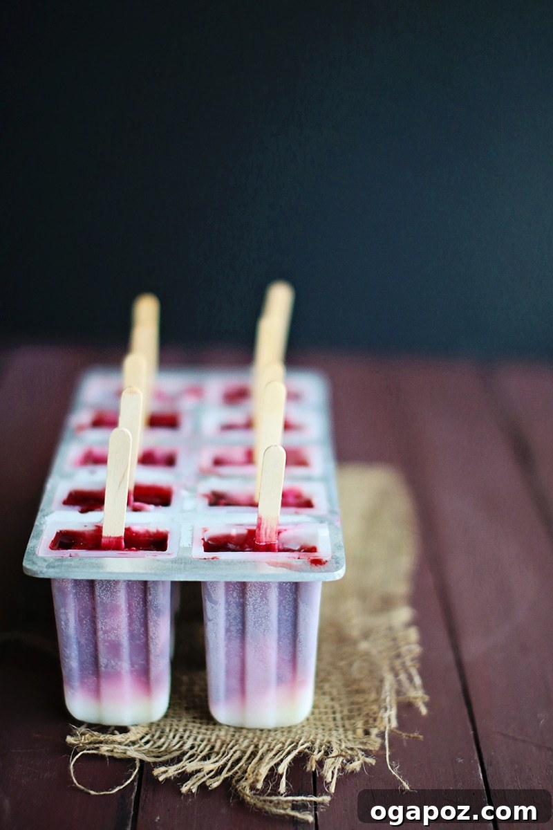 Blackberry Ripple Froyo Pops 3 A basket overflowing with freshly picked red raspberries, glistening in the sunlight at a farmers market.