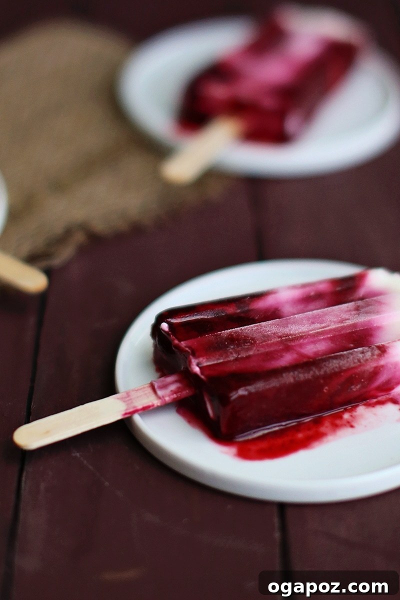 Blackberry Ripple Froyo Pops 6 A close-up of the creamy, lightly sweetened whole-milk yogurt mixture, ready to be combined with fruit puree.