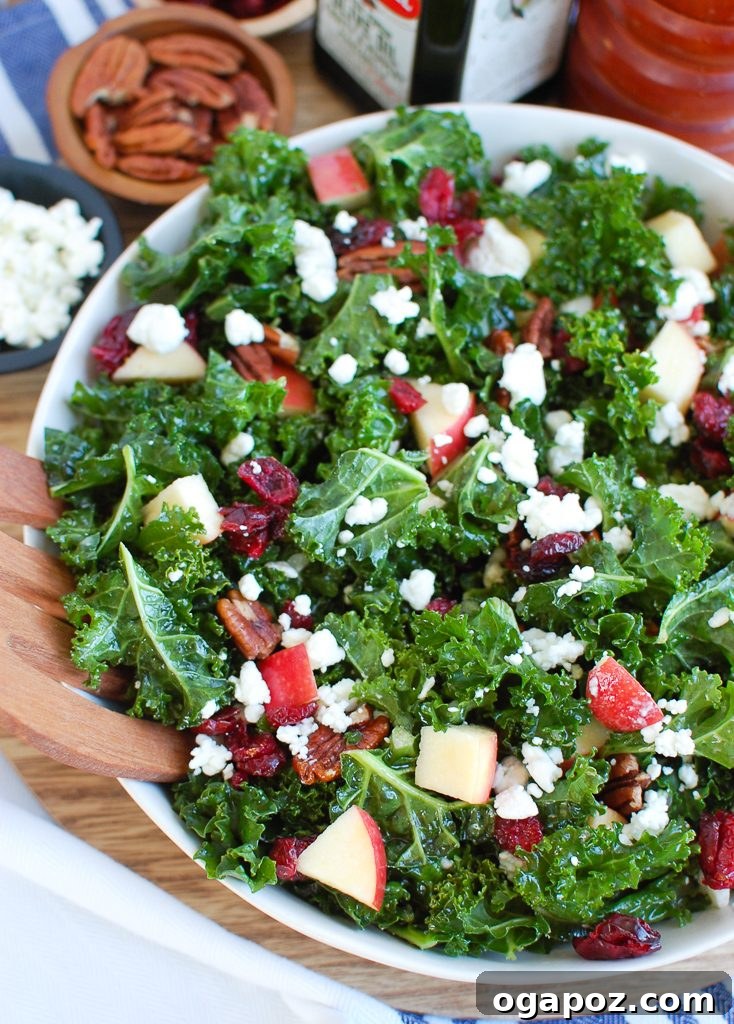 Kale Salad with Cranberries in a white bowl, garnished beautifully with all ingredients