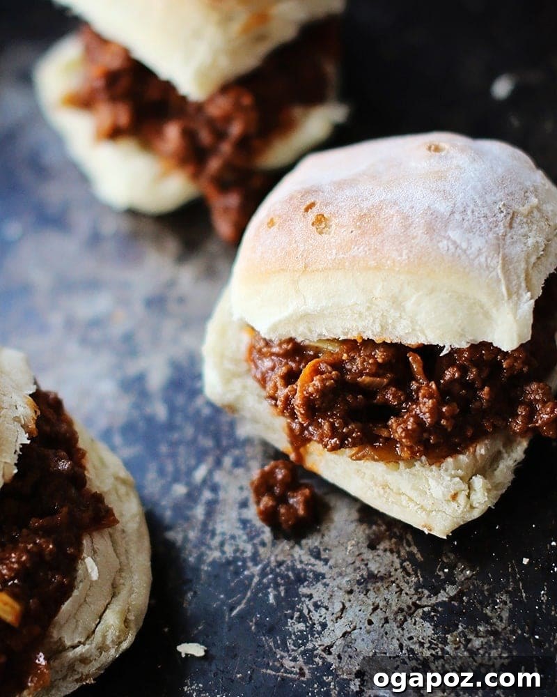 Sweet Heat Sloppy Joes 2 A freshly made Sloppy Joe sandwich on a soft bun.