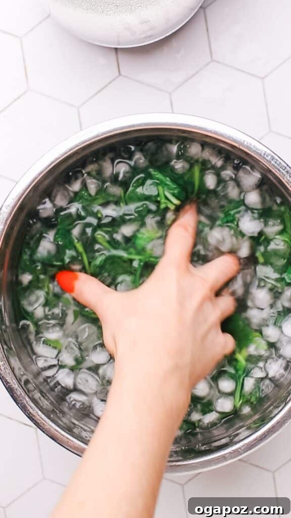 Velvety Palak Paneer 10 Blanched spinach being plunged into a bowl of ice water to preserve its vibrant green color.