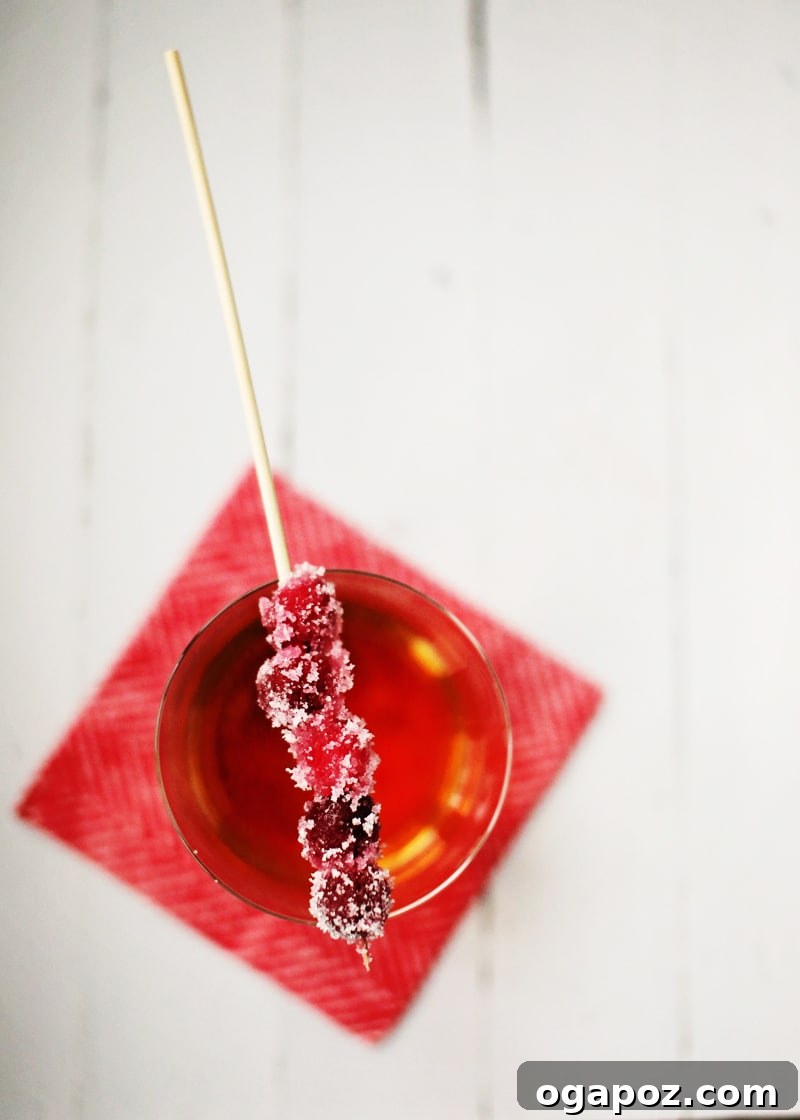 Frosted Cranberries 5 A refreshing festive cocktail garnished with a sprig of sugared rosemary and a few sparkling sugared cranberries.