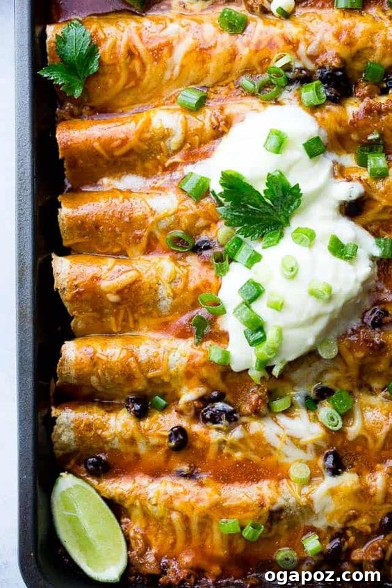 37 Delicious Ways to Enjoy Healthy Ground Turkey 16 Ground Turkey and Black Bean Enchiladas, baked to golden perfection.