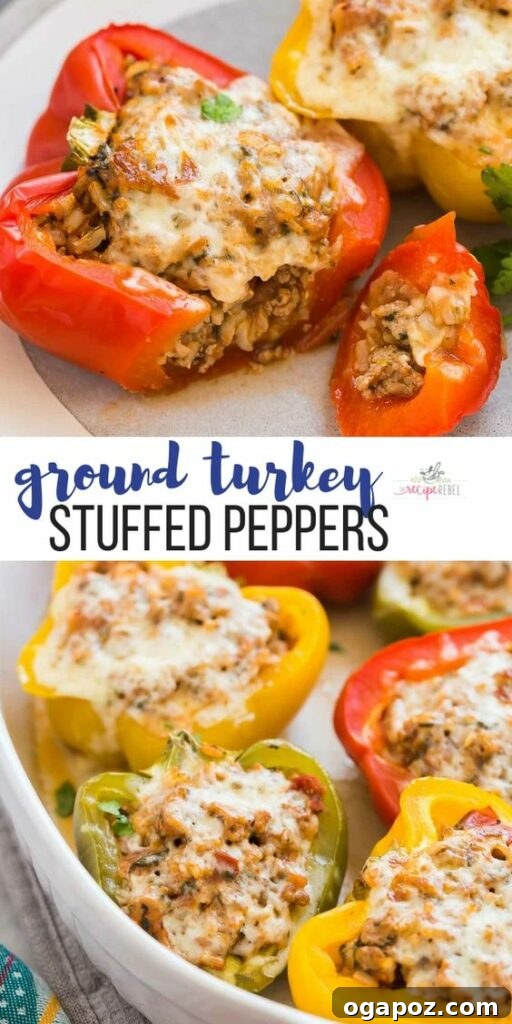 37 Delicious Ways to Enjoy Healthy Ground Turkey 17 Colorful bell peppers stuffed with seasoned ground turkey mixture.