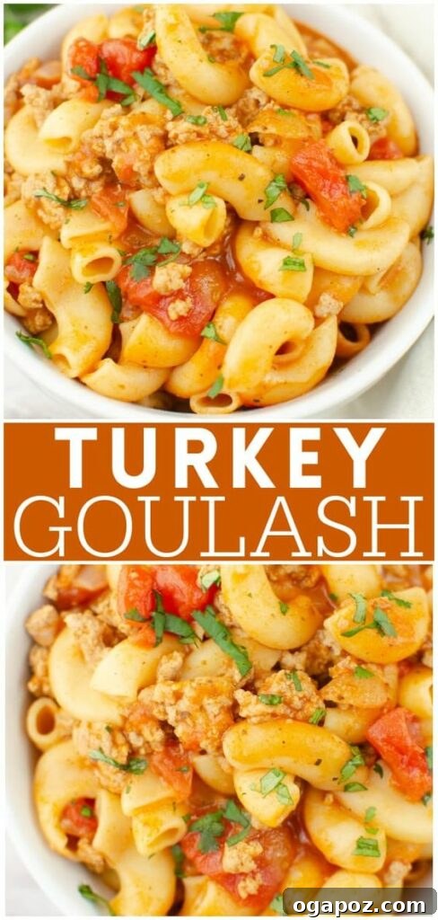 37 Delicious Ways to Enjoy Healthy Ground Turkey 31 Turkey Goulash, a hearty stew with pasta.