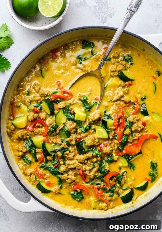 37 Delicious Ways to Enjoy Healthy Ground Turkey 34 Thai Turkey Coconut Curry, rich and colorful.