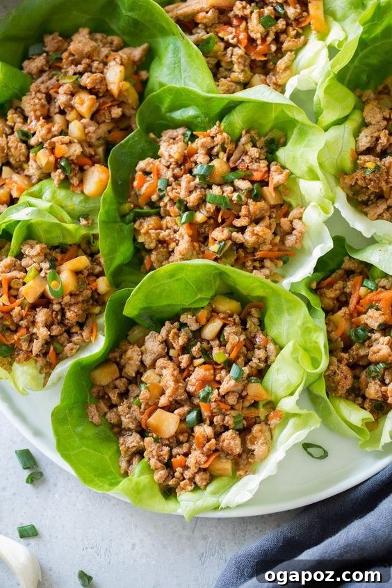 37 Delicious Ways to Enjoy Healthy Ground Turkey 8 Ground turkey lettuce cups with various toppings.