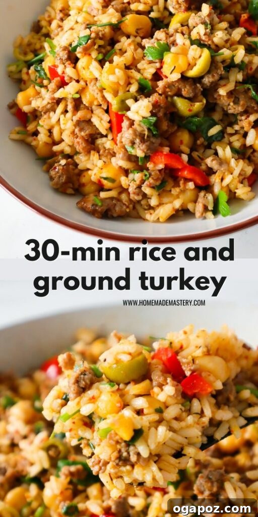 37 Delicious Ways to Enjoy Healthy Ground Turkey 10 Rice and Ground Turkey dish in a bowl.