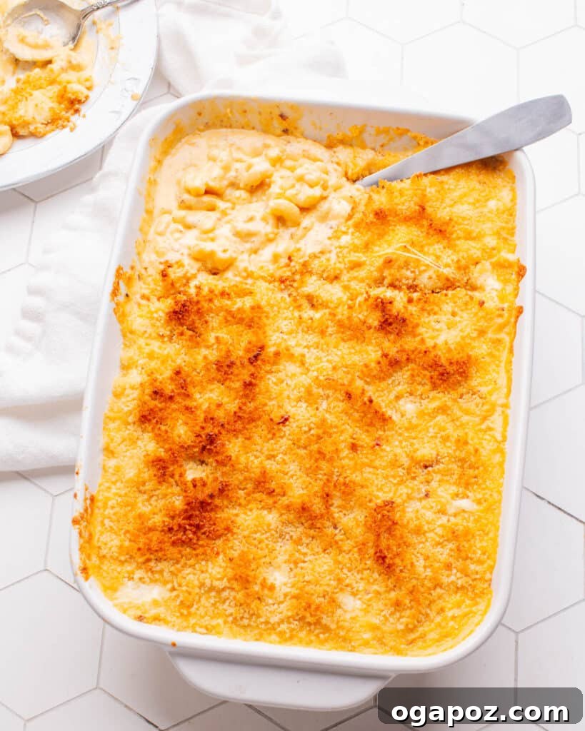 Hearty Winter Casseroles for Ultimate Comfort 13 Classic Baked Mac and Cheese, with a spoon serving a portion from the casserole