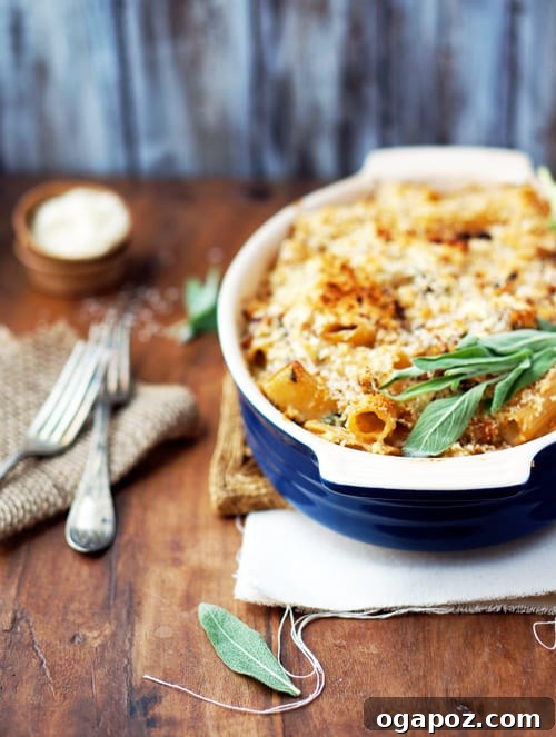 Hearty Winter Casseroles for Ultimate Comfort 15 Gourmet Creamy Baked Rigatoni With Roasted Butternut Squash & Tangy Goat Cheese
