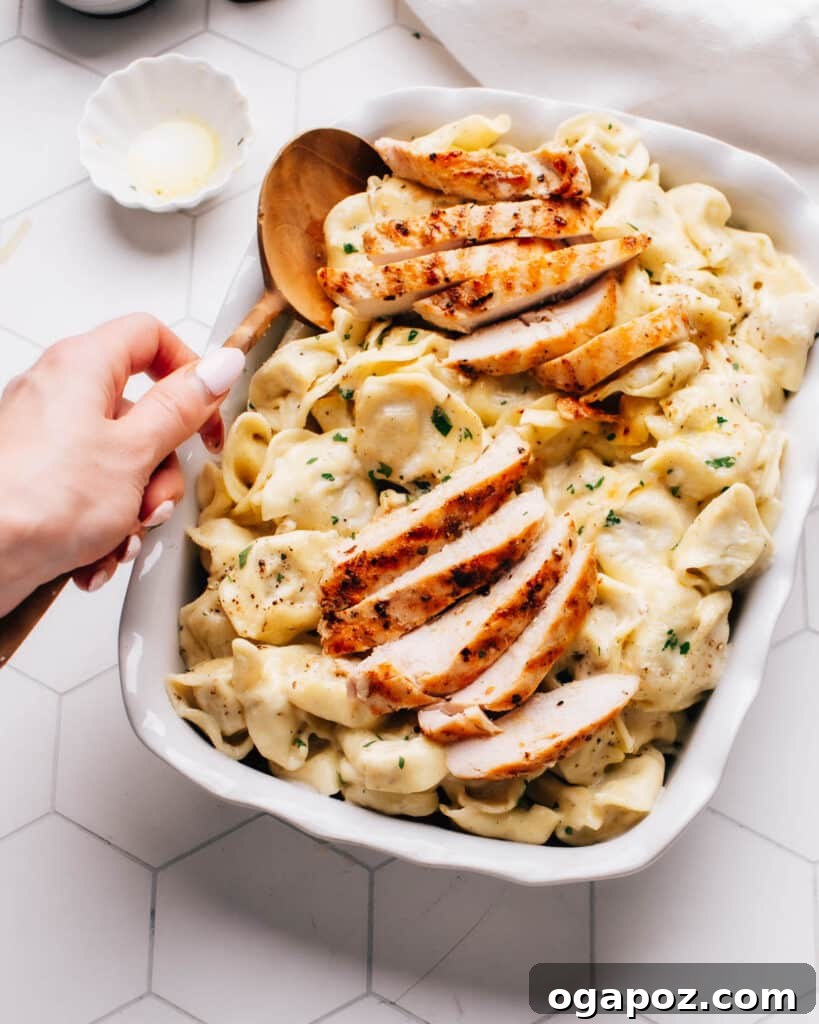 Hearty Winter Casseroles for Ultimate Comfort 22 Lush Asiago Alfredo Pasta Sauce with cheese-filled tortellini and grilled chicken