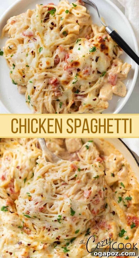 Hearty Winter Casseroles for Ultimate Comfort 27 Comforting Chicken Spaghetti Casserole, a family-friendly baked pasta dish