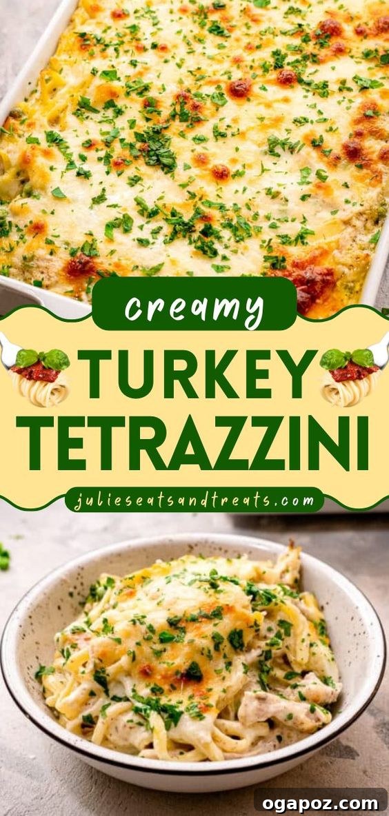 Hearty Winter Casseroles for Ultimate Comfort 29 Rich and creamy Turkey Casserole Tetrazzini with pasta and mushrooms