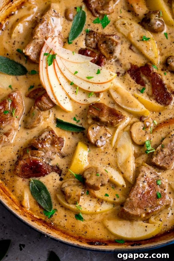 Hearty Winter Casseroles for Ultimate Comfort 30 Hearty Pork and Apple Casserole with a creamy sauce