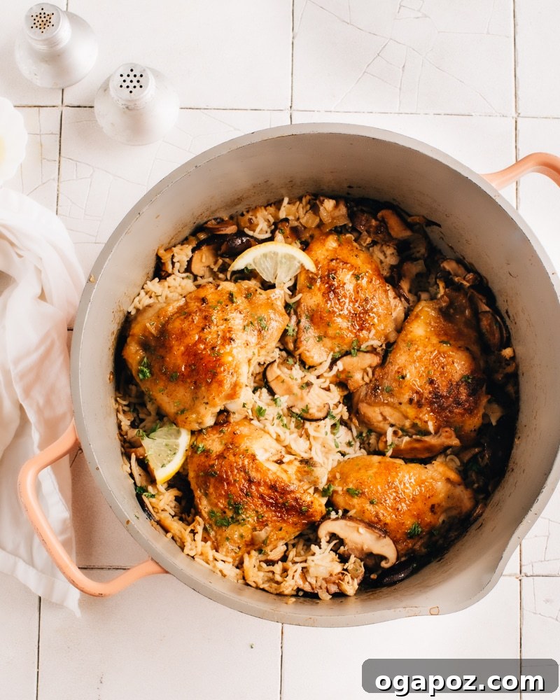 Hearty Winter Casseroles for Ultimate Comfort 10 Easy One Pot Oven Baked Chicken and Rice with Zesty Lemon and Earthy Mushrooms