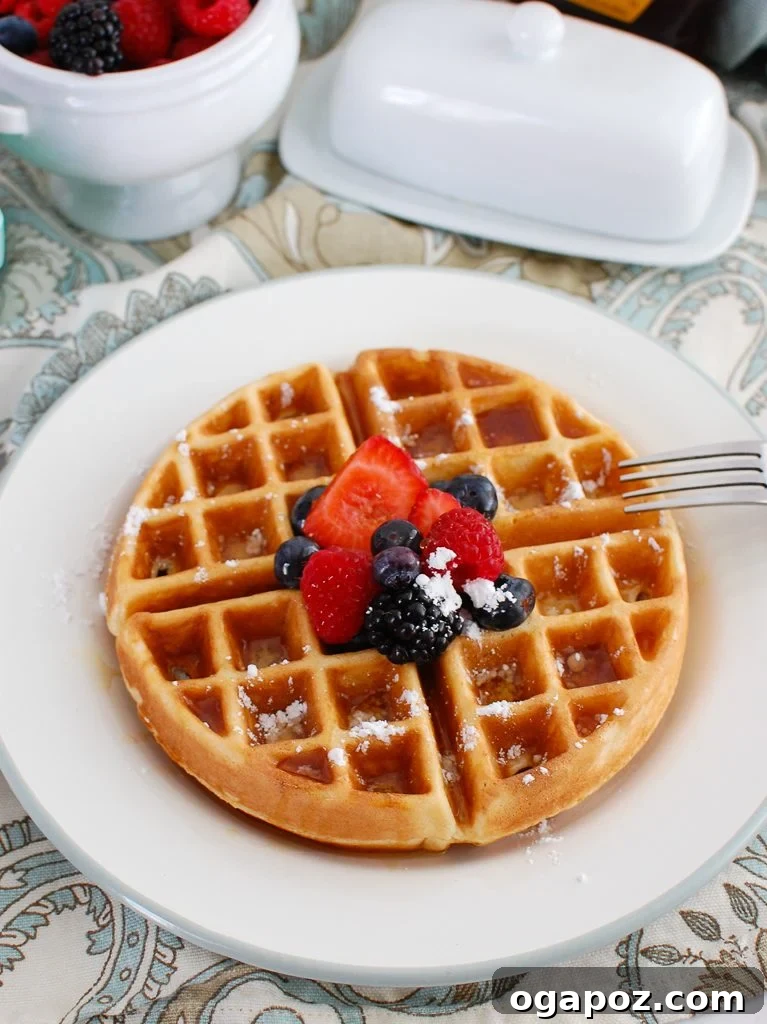 Elevated Greek Yogurt Waffles 2 Golden brown Greek Yogurt Waffles on a white plate, ready to be served