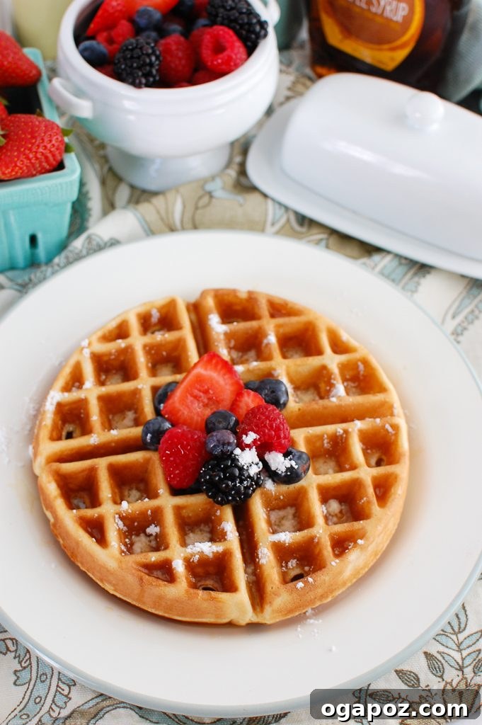 Elevated Greek Yogurt Waffles 5 Greek Yogurt Waffles with powdered sugar and fresh berries on a plate