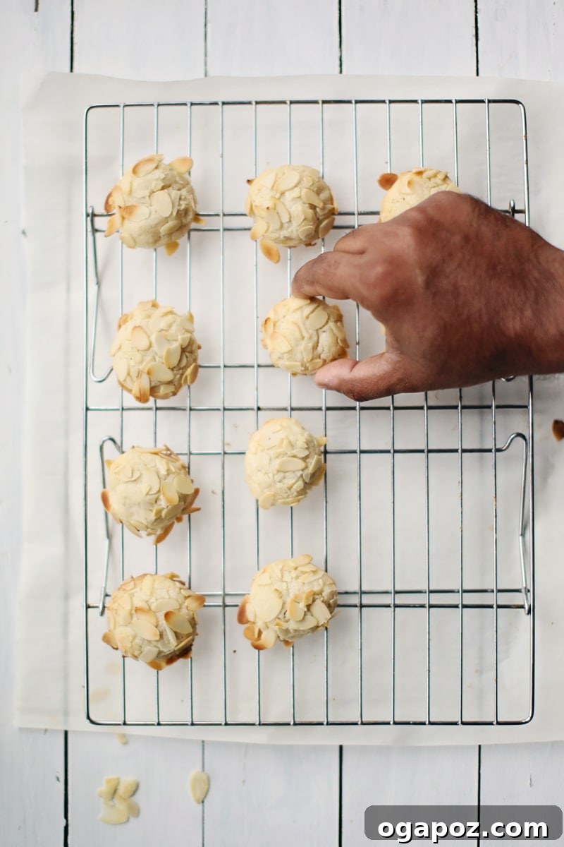 Aromatic Cardamom Almond Cloud Cookies 6 Plate of homemade Cardamom Cream Cheese Almond Cookies, dusted with powdered sugar, resembling snowballs.
