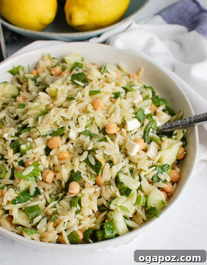 Zesty Chickpea Salad 2 Chickpea Salad Recipe with white bowl, a vibrant mix of fresh ingredients