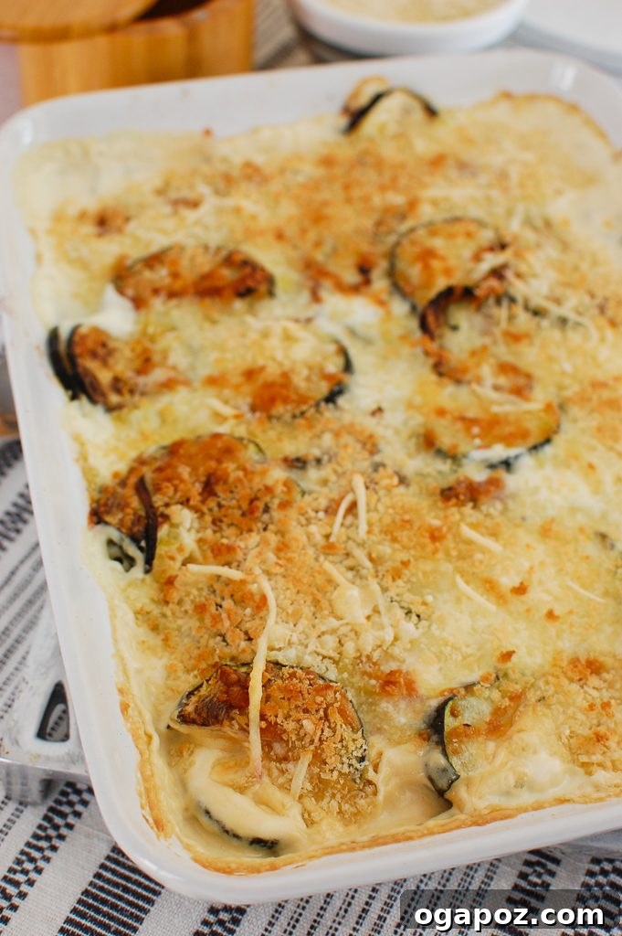 Golden Zucchini Bake 2 Zucchini Gratin in white casserole dish, perfectly golden brown and bubbling