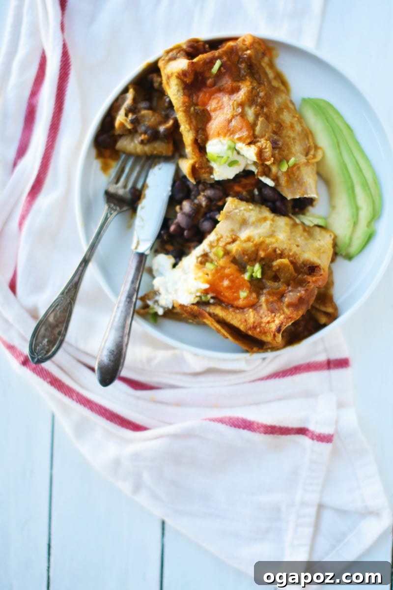Fiery Pumpkin Black Bean Enchiladas 5 Deliciously baked pumpkin black bean enchiladas, golden and bubbling, topped with fresh sour cream and cilantro for garnish.