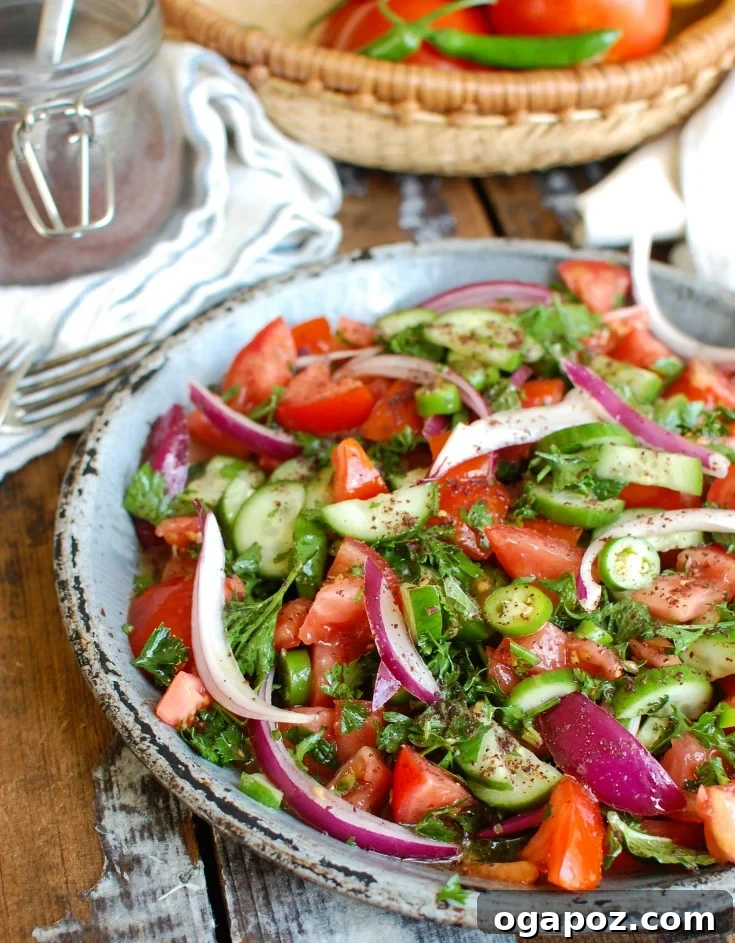 A finely diced, refreshing Persian Tomato Cucumber Salad, also known as Salad Shirazi, garnished with fresh herbs.