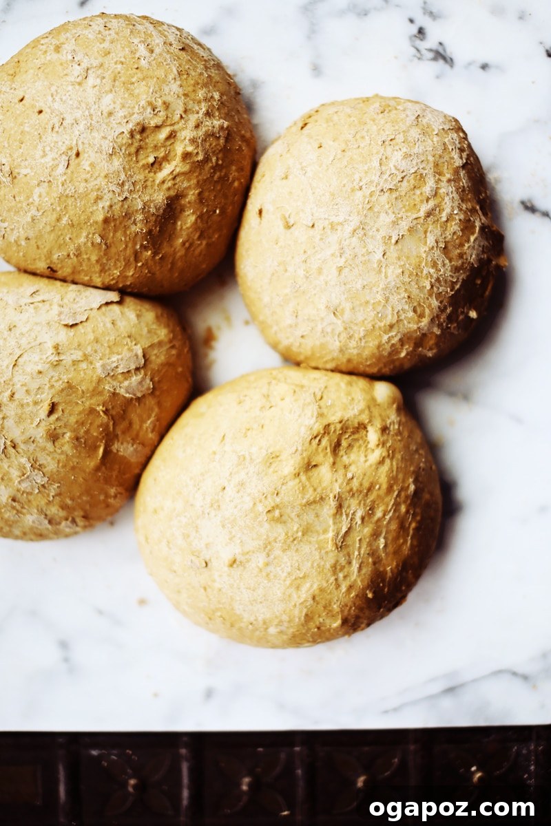 Four beautifully shaped loaves of oatmeal brown bread dough, neatly arranged on a baking sheet, actively undergoing their second rise.