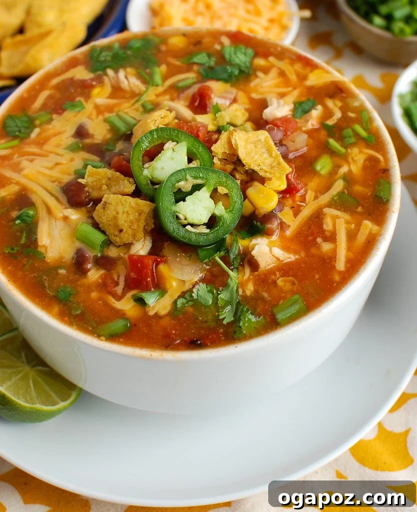 Zesty Chicken Enchilada Bowl 2 A large white bowl filled with delicious Chicken Enchilada Soup, garnished with fresh cilantro and a dollop of sour cream.